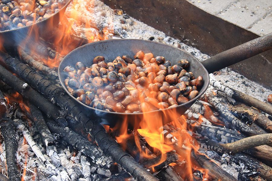Cultura Popular y Tradiciones,  El Calbote